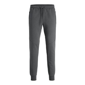 JACK & JONES Nohavice  čadičová
