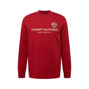 TOMMY HILFIGER Tričko  námornícka modrá / horčicová / červená / biela