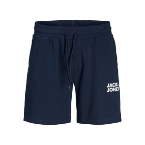 JACK & JONES Nohavice 'Bex'  námornícka modrá / biela