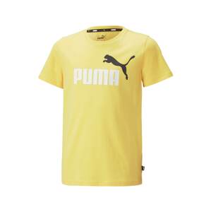 PUMA Funkčné tričko  limetková / čierna / biela