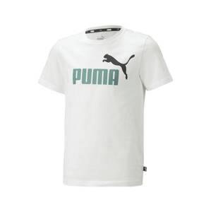 PUMA Funkčné tričko  nefritová / čierna / biela