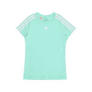 ADIDAS SPORTSWEAR Funkčné tričko 'Train Essentials Aeroready 3-Stripes -Fit '  mätová / biela