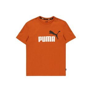 PUMA Funkčné tričko  hrdzavohnedá / čierna / biela