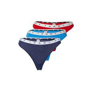 Tommy Hilfiger Underwear Tangá  námornícka modrá / svetlomodrá / sivá / červená