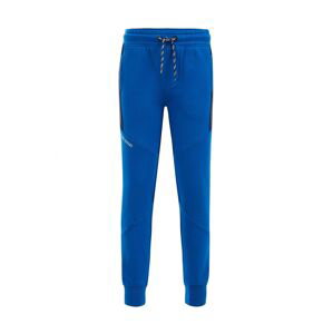WE Fashion Nohavice  námornícka modrá / kobaltovomodrá / biela
