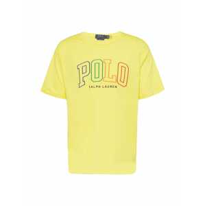 Polo Ralph Lauren Tričko  modrá / žltá / zelená / oranžová