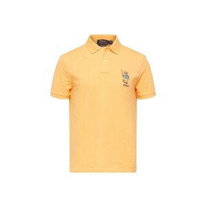 Polo Ralph Lauren Tričko  modrá / čokoládová / svetlohnedá / marhuľová