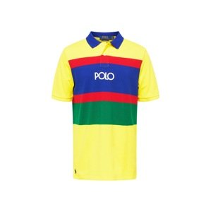 Polo Ralph Lauren Tričko  modrá / žltá / trávovo zelená / červená