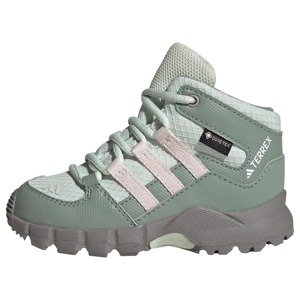 ADIDAS TERREX Nízke čižmy  kaki / pastelovo zelená / púdrová