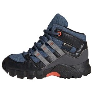 ADIDAS TERREX Nízke čižmy  námornícka modrá / kamenná / čierna