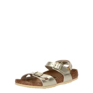 BIRKENSTOCK Otvorená obuv 'Rio'  zlatá