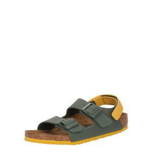 BIRKENSTOCK Otvorená obuv 'Milano'  žltá / sivá