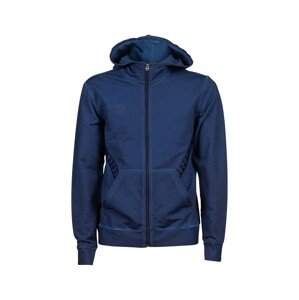 ARENA Športová mikina so zipsom 'ARENA ICONS HOODED JACKET'  modrá