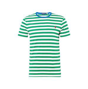 Polo Ralph Lauren Tričko  modrá / zelená / malinová / biela