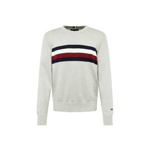 TOMMY HILFIGER Sveter  námornícka modrá / svetlosivá / tmavočervená / biela