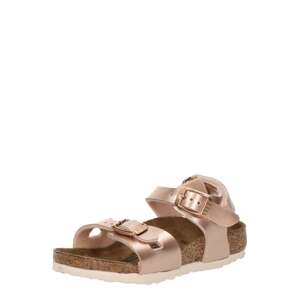 BIRKENSTOCK Otvorená obuv 'Rio'  medená