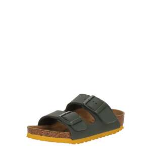 BIRKENSTOCK Otvorená obuv 'Arizona'  tmavozelená