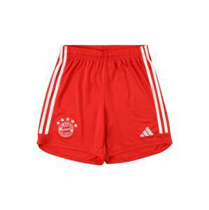 ADIDAS PERFORMANCE Športové nohavice 'Bayern München'  červená / biela