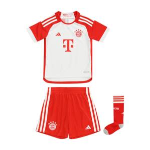 ADIDAS PERFORMANCE Tréningový komplet 'FC Bayern München 23/24'  svetlosivá / červená / biela