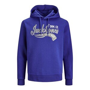 JACK & JONES Mikina  sivá / modrofialová / biela