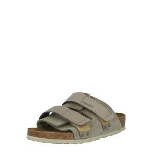 BIRKENSTOCK Šľapky 'Uji'  kamenná