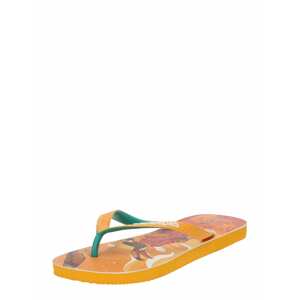 HAVAIANAS Žabky  oranžová