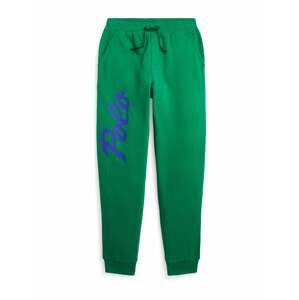 Polo Ralph Lauren Nohavice  kráľovská modrá / zelená