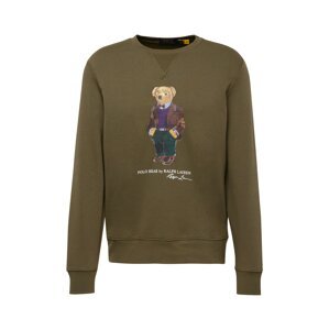 Polo Ralph Lauren Mikina  hnedá / svetlohnedá / olivová / biela