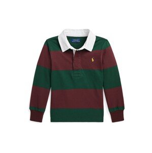 Polo Ralph Lauren Tričko  žltá / jedľová / vínovo červená / biela