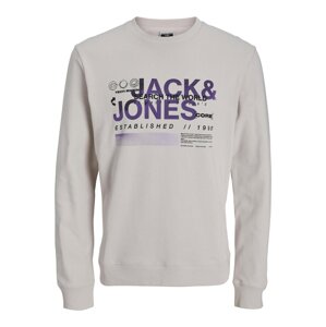 JACK & JONES Mikina 'WATER'  sivá / tmavofialová / čierna