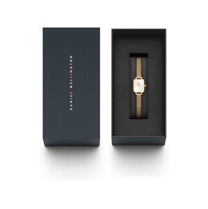 Daniel Wellington Analógové hodinky  zlatá / šedobiela