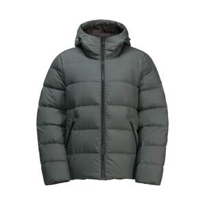 JACK WOLFSKIN Outdoorová bunda 'FROZEN PALACE'  tmavozelená