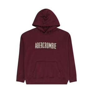 Abercrombie & Fitch Mikina  nebielená / farba lesného ovocia / čierna