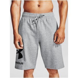 Šortky Under Armour UA Rival FLC Big Logo Shorts-GRY