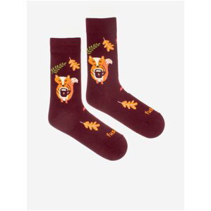 Vínové dámské ponožky s motivem Fusakle Liškopauza