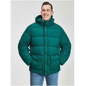 Zelená pánska bunda zimná s kapucňou GAP