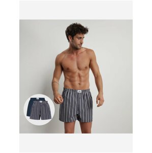 Sada dvoch pánskych trenírok v šedej a tmavo modrej farbe Dim ECOSMART LOOSE BOXER 2x