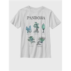 Biele detské tričko Twentieth Century Fox Pandora Flora Sketches