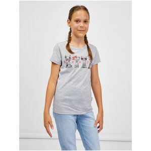 Svetlosivé dievčenské melírované tričko SAM 73 Axill