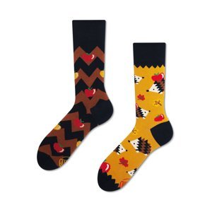 Hnedo-žlté ponožky Apple Hedgehog
