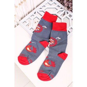 Červeno-sivé ponožky Folk Zaľúbené Vtáčiky