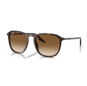 Ray-Ban RB2203 902/51 -  (55-20-145)