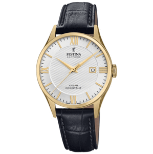 FESTINA 20010/2