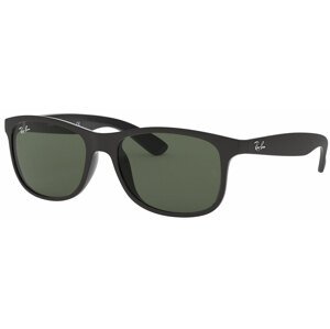 Ray-Ban RB4202 606971 - M (55-17-145)