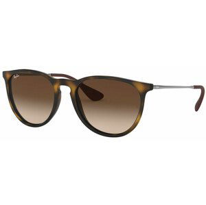 Ray-Ban RB4171 865/13 - M (54-18-145)