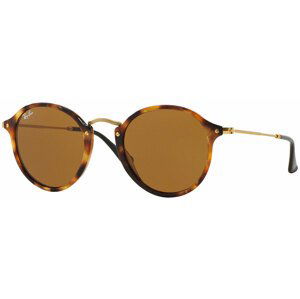 Ray-Ban RB2447 1160 - M (49-21-145)