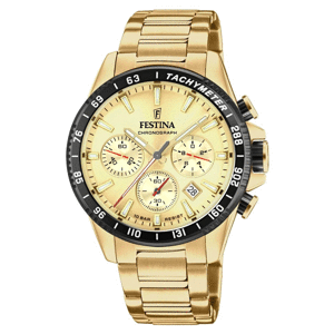 FESTINA 20634/6