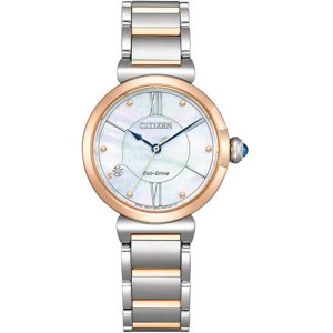 CITIZEN EM1074-82D