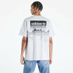 adidas Adventure Mountain Back T-Shirt Grey Two