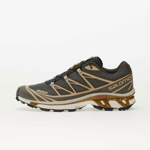 Salomon XT-6 Pewter/ Dull Gold